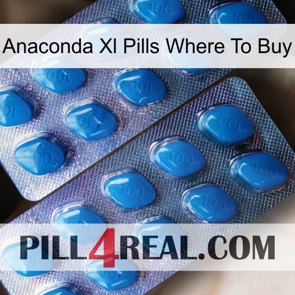 Anaconda Xl Pills Where To Buy viagra2.jpg